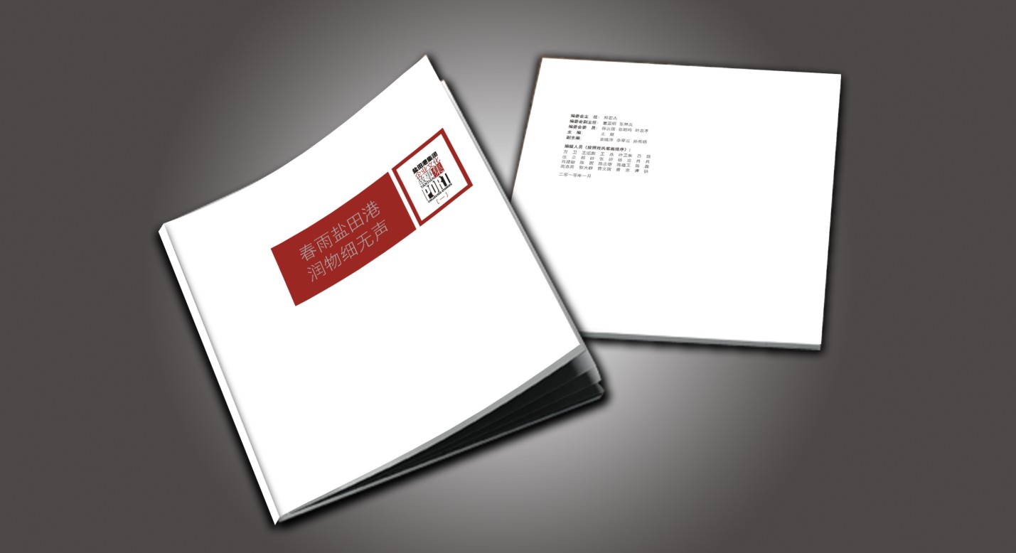 2025公司网站-VI画册_P_80【12.1cm×6.6cm】